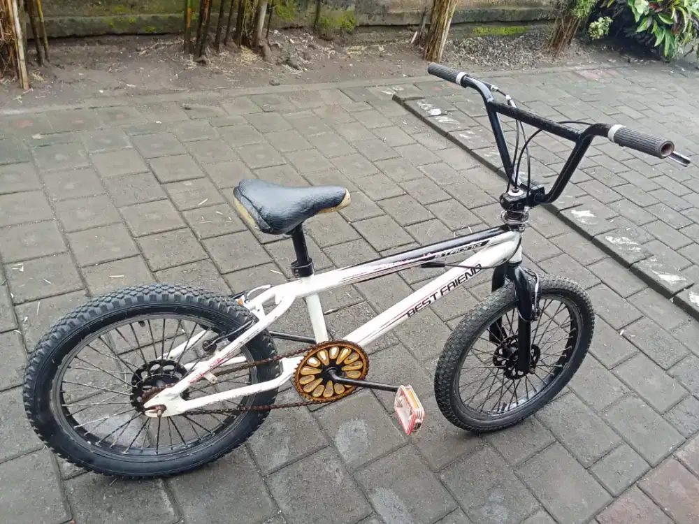 Sepeda BEST FRIEND STRONG R 20