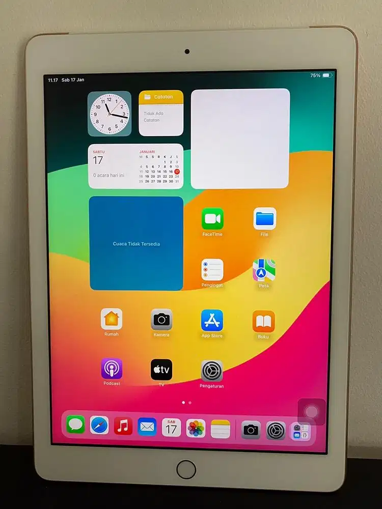 iPad Generasi 6 2018 32GB Rose Gold Wifi Only