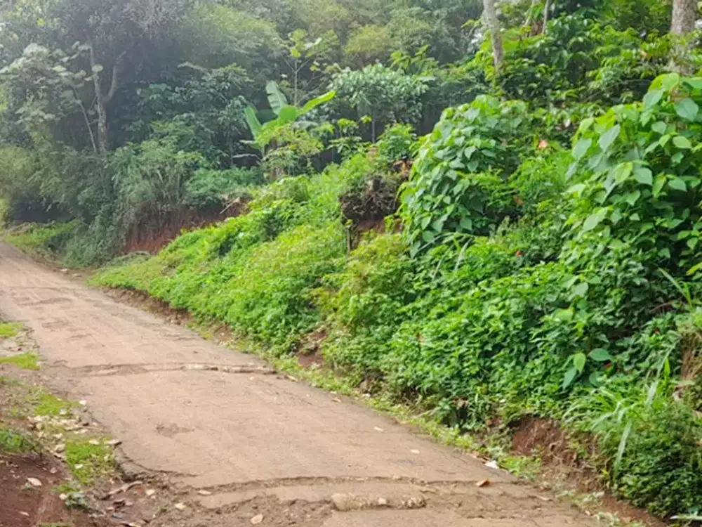 TANAH LUAS DIJUAL – KABUPATEN BANDUNG