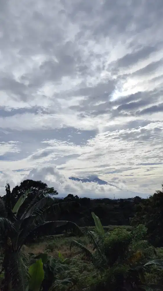 Cari Art Buat momong,,