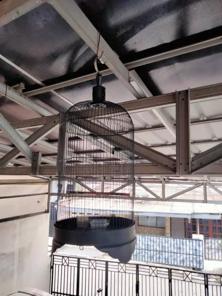 Kandang Lovebird murah