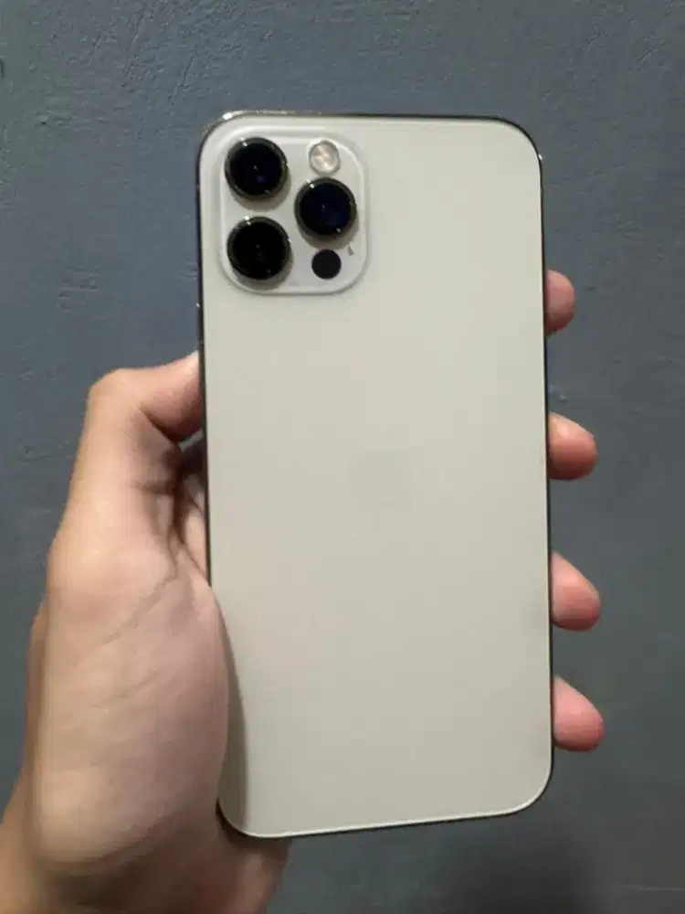 Iphone 12 Pro 256gb Gold Fullset Nominus