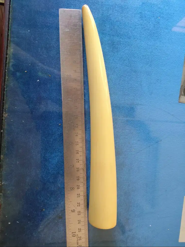 Once Sultan simpanan