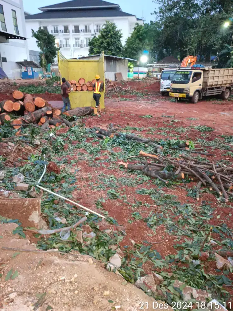 Jasa tebang pohohon& pembukaan lahan kosong
