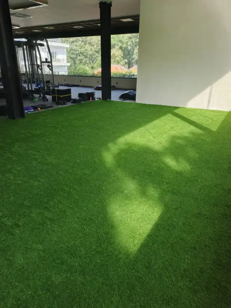 rumput Sintetis murah di bogor bisa cod