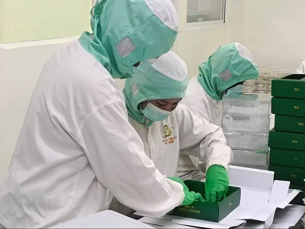 Lowongan Kepala Packing Sarang Walet