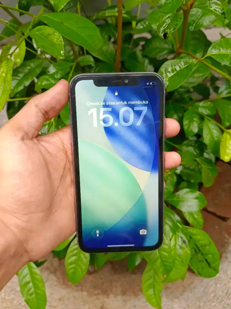 iPhone 11 64GB All Operator