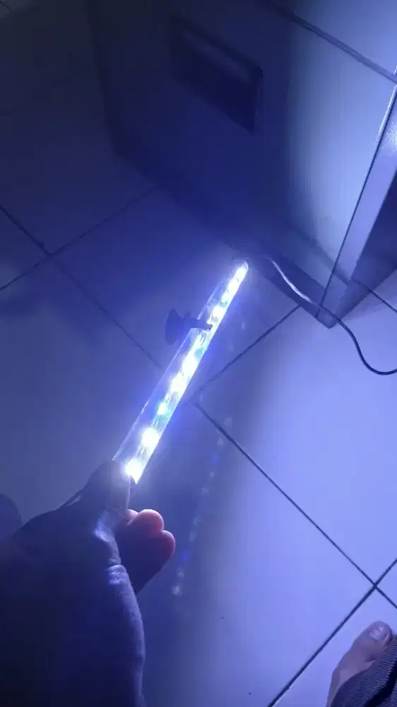 Lampu aquarium warna cahaya biru putih