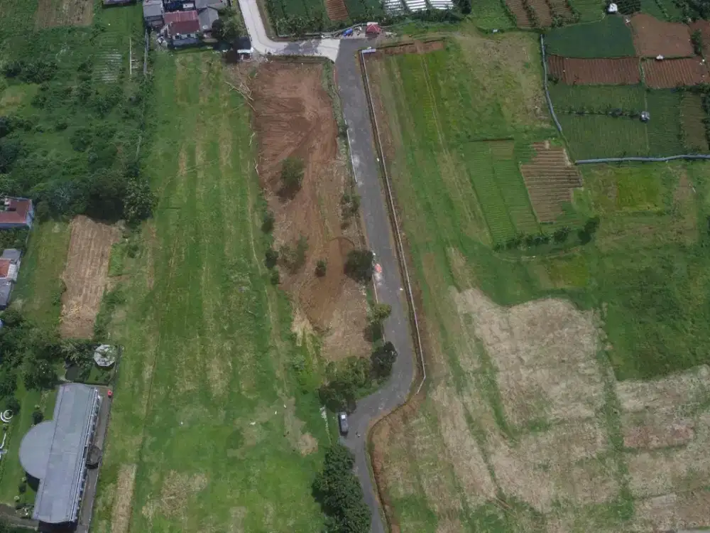 Tanah dekat wisata dan area komersil Puncak Bogor