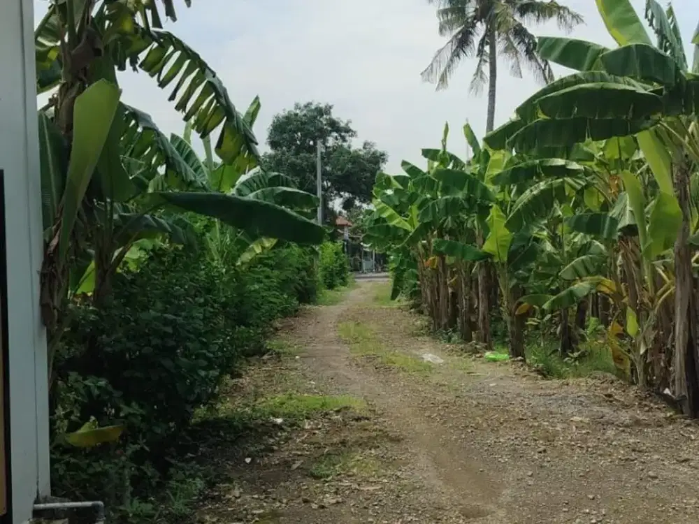 RUMAH TINGGAL MINIMALIS DI BANGETAYU KULON, KOTA SEMARANG