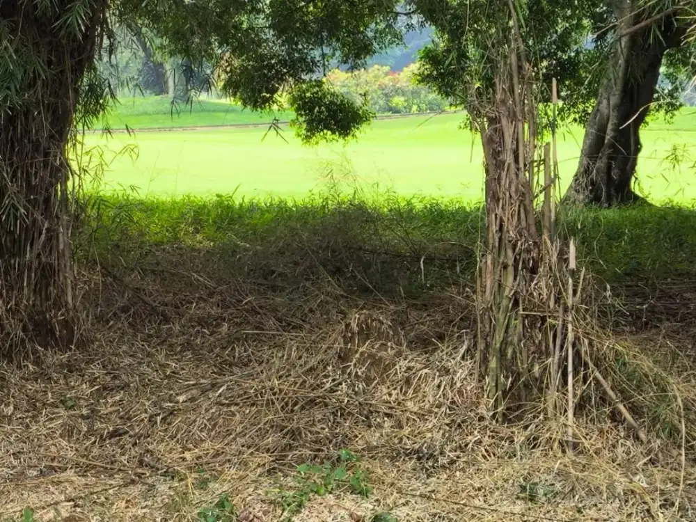 Kavling 84 m view Golf langsung - SIAP BANGUN IMB ready - Murah & Langka