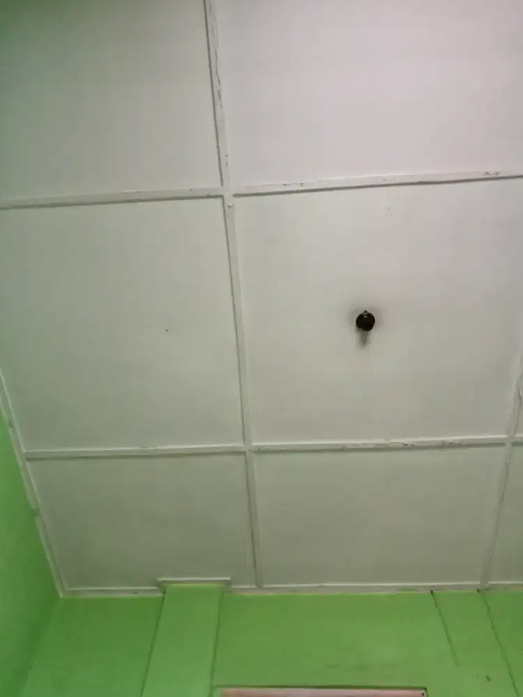 INFO LOKER ART YG BISA PP BUAT SAYA SENDIRI