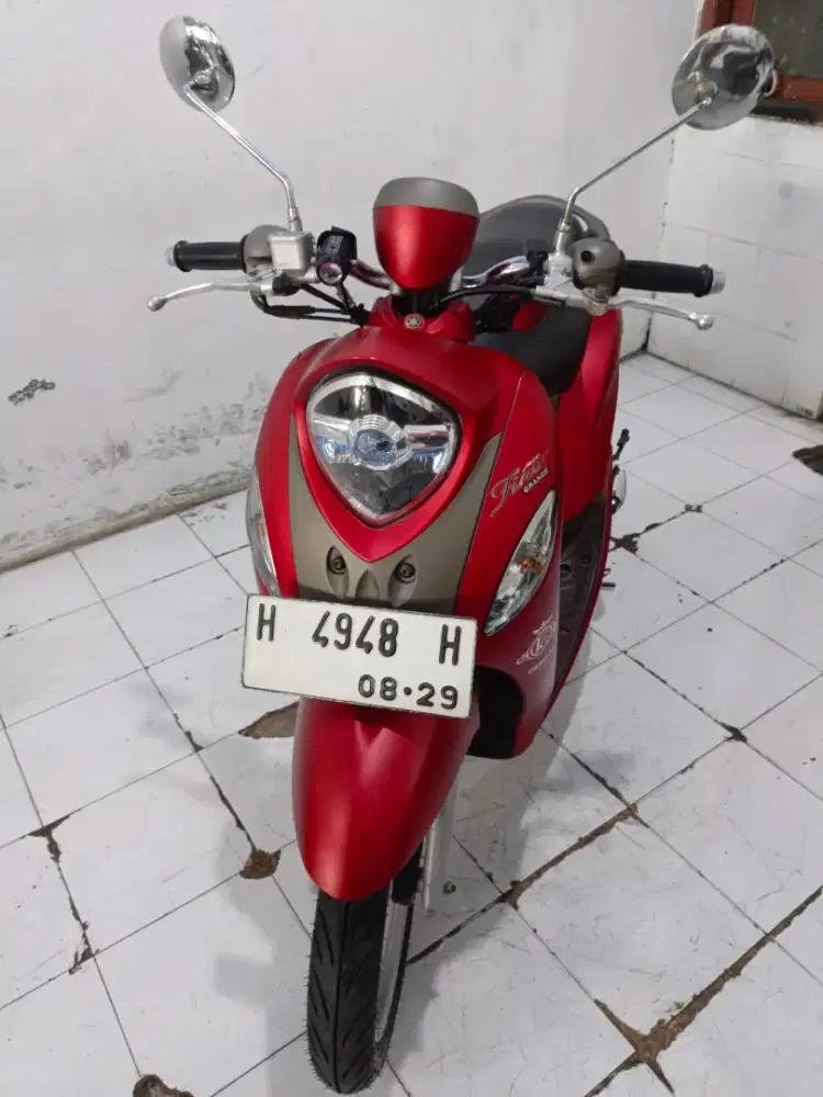 fino grande merah2018