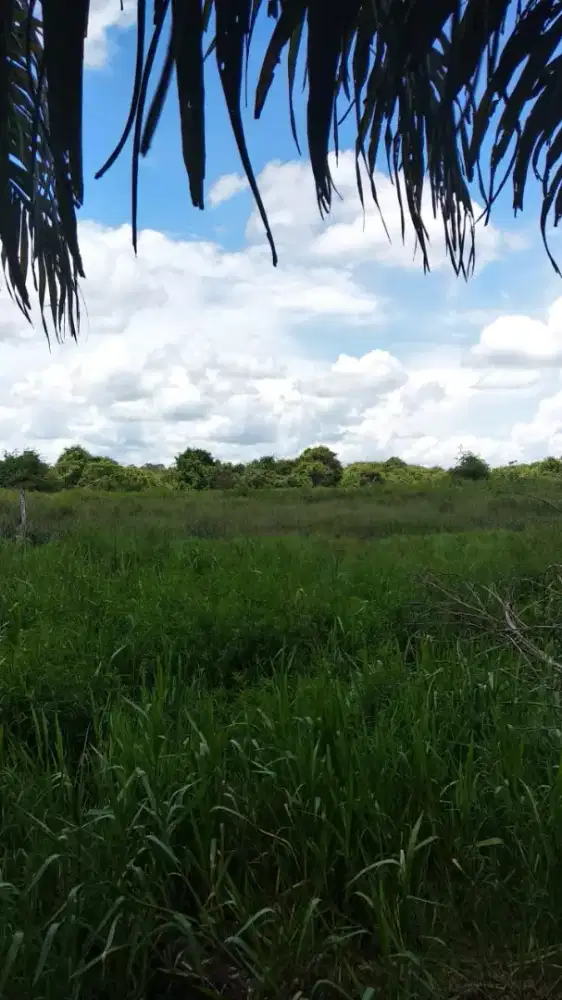 DIJUAL TANAH/LAHAN STATUS SKT