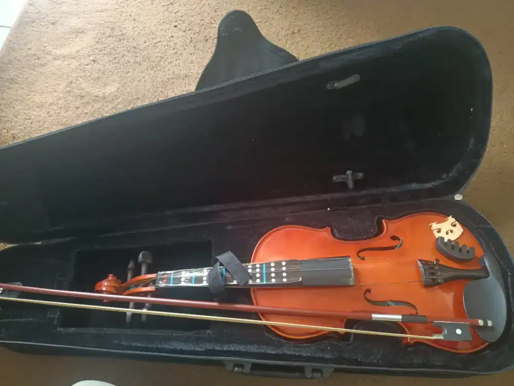 Dijual Cepat biola kualitas masih kaya baru
