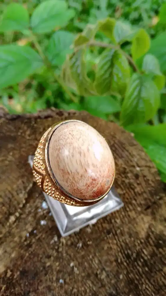 Cincin Batu Fosil Kayu Natural