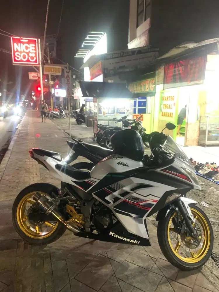 ninja 250 fi abs se
