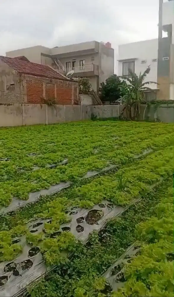 Dijual Tanah Kebon Dalam Cluster Di Parongpong Cihanjuang