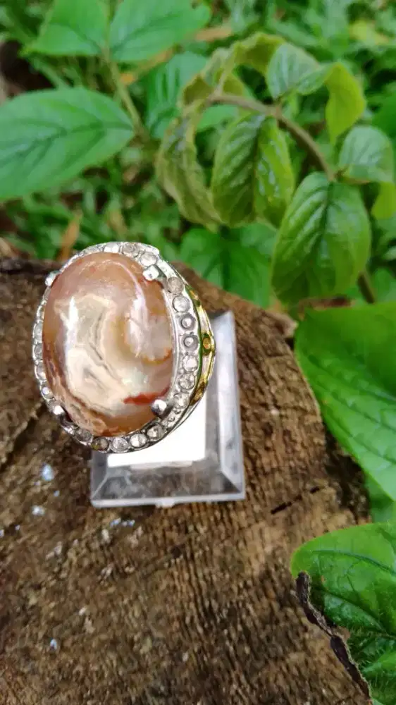 Akik Batu Motif Burung