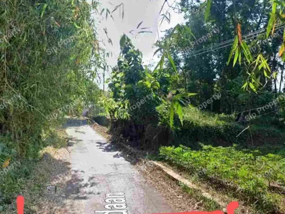 Jual Tanah Dibawah NJOP Lokasi Jln Padaan Ngadirejo Ngaliyan Semarang Barat