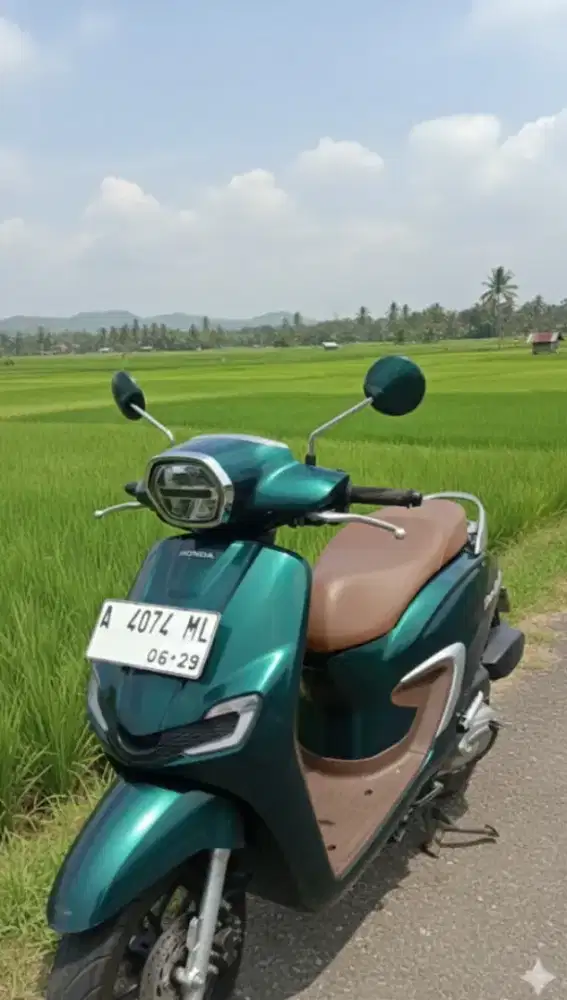 Stylo Green Favorit 2024