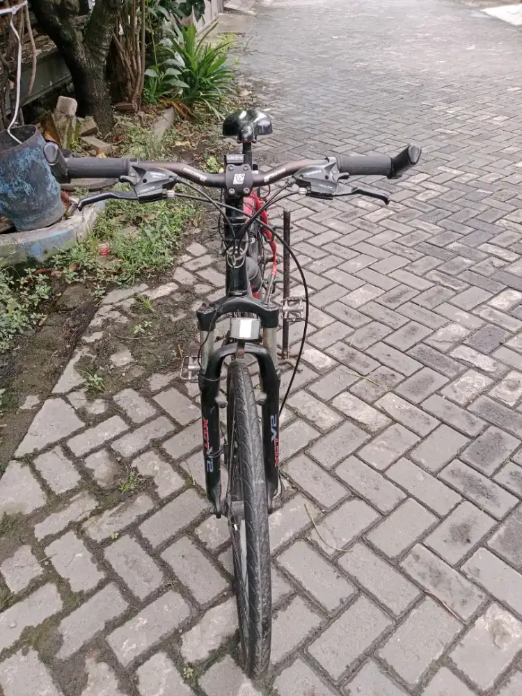 Sepeda ontel polygon uk 26