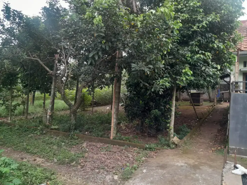 Dijual Tanah 300m2 Kota Cibinong - Tanpa Perantara