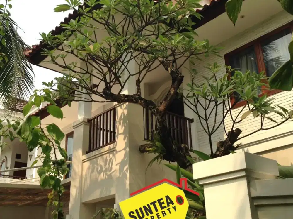 Rumah Mewah Luas dan Besar Dilengkapi dengan Kolam Renang Pribadi di Bintaro Sektor 8 (Im)