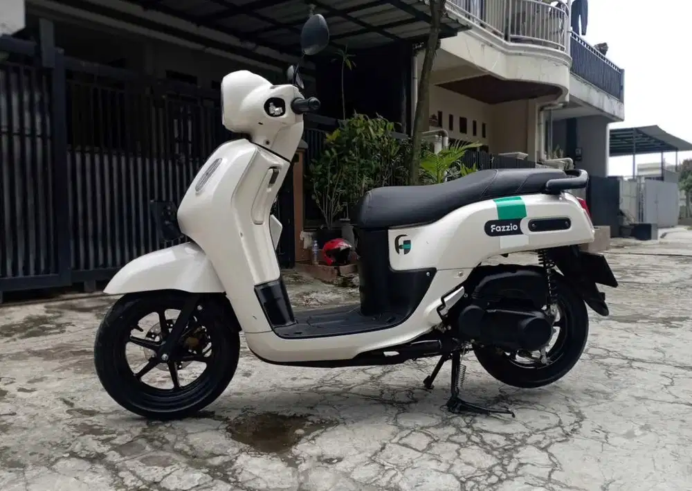 For sale Fazzio 2023