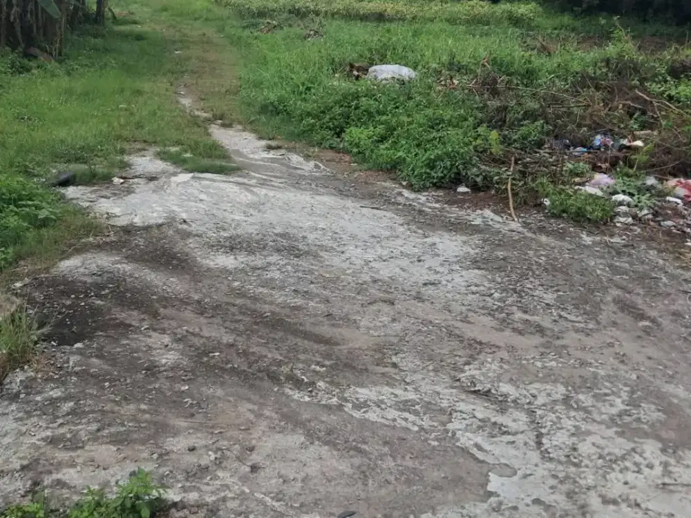 Lahan kosong nempel jln.raya serang kragilan dekat exit tol