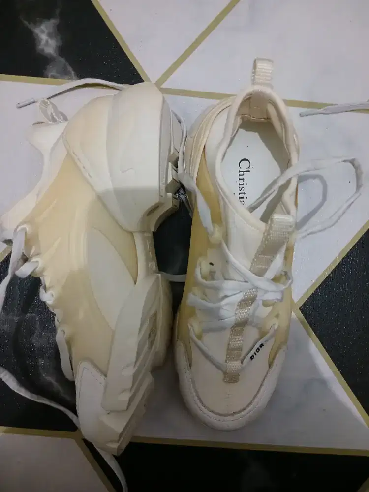 Sepatu Christian Dior D-Connect