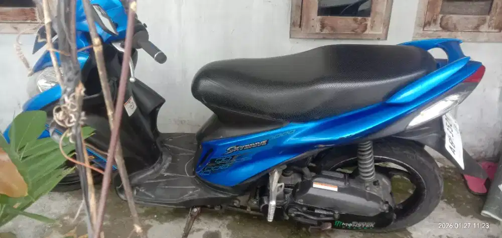 Suzuki 2016,125