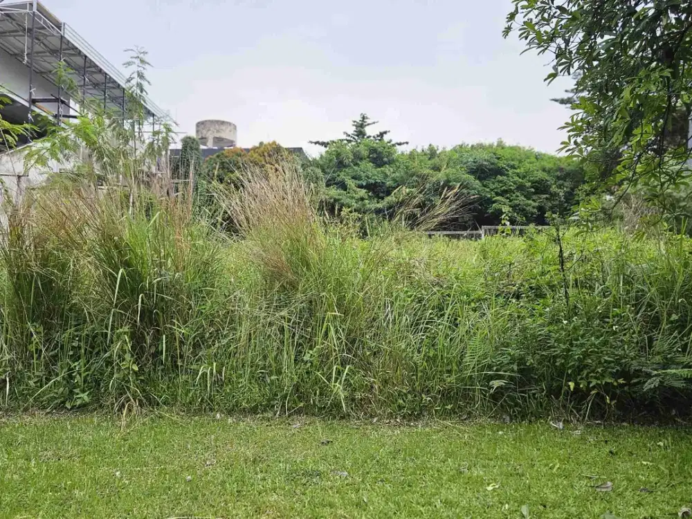 DIJUAL TANAH KAVLING DI SEIRA MADRE SENTUL BOGOR