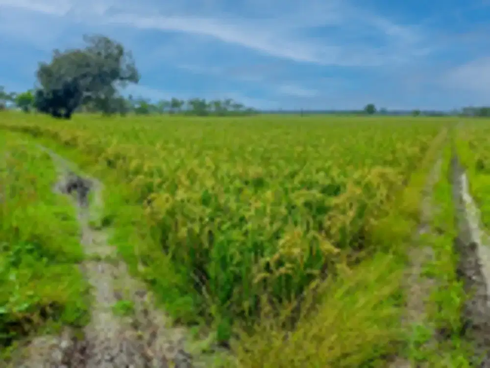 TANAH LUAS DIJUAL – KOTA BEKASI