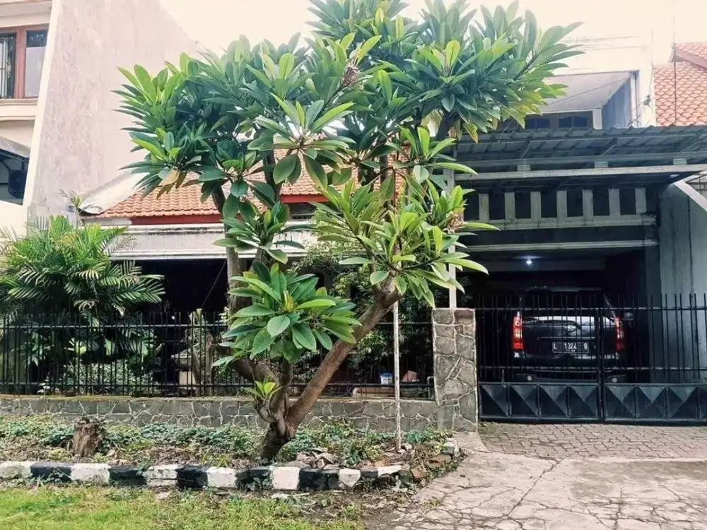 Rumah Gayungsari Terawat Strategis Dekat Raya A Yani