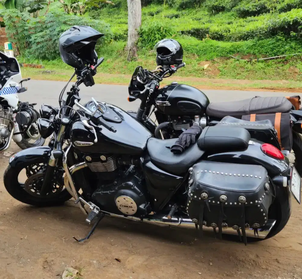 TRAIUMP TUNDERBIRD 2012