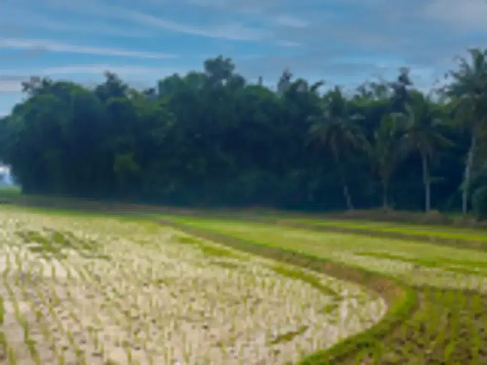 TANAH LUAS DIJUAL – KOTA BEKASI