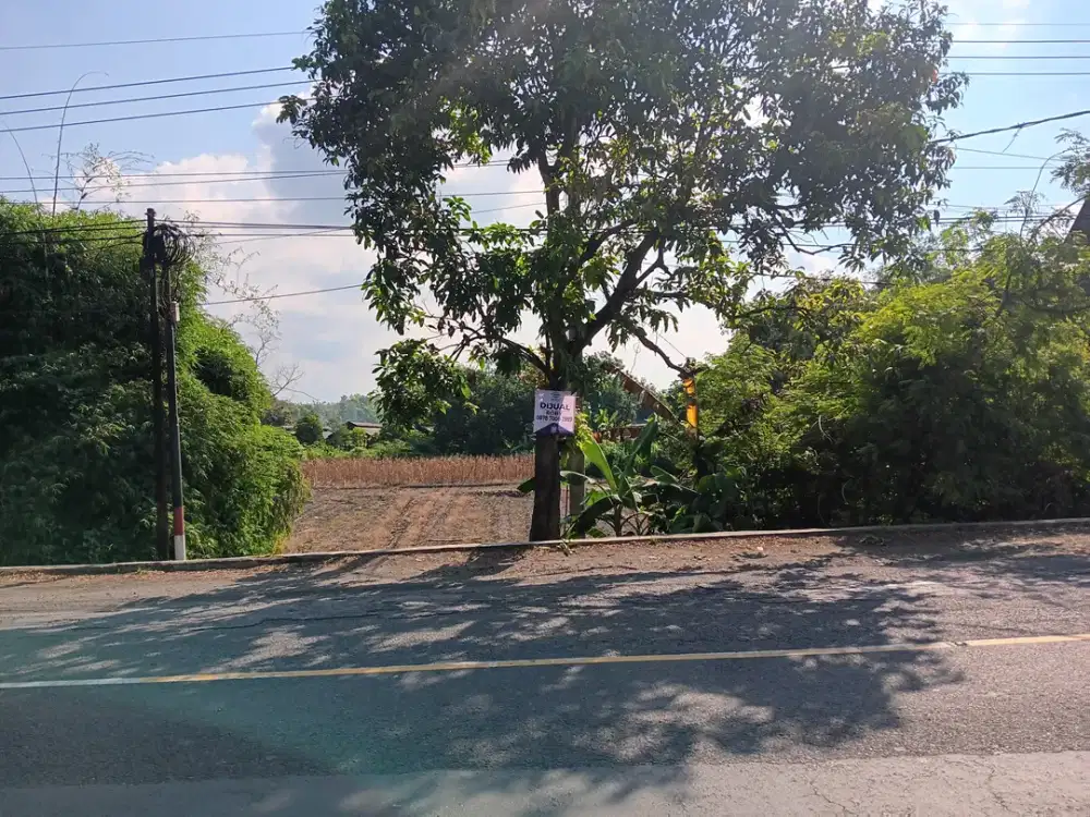 DIJUAL Tanah Raya Domas Dkt Menganti Gresik Kedamean