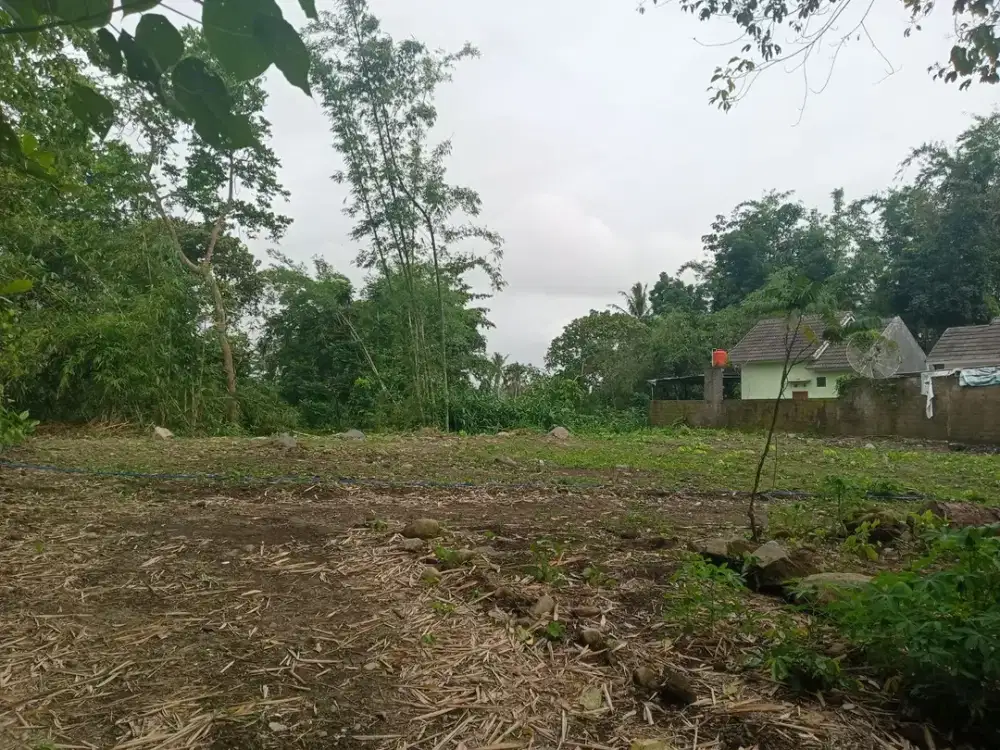Tanah Termurah di Sleman Cuma 1,9 Jt/m2 Dekat Tol Jogja-Bawen