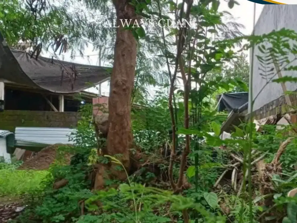 Tanah Terjangkau Siap Dibangun di Area Canggu Dijual