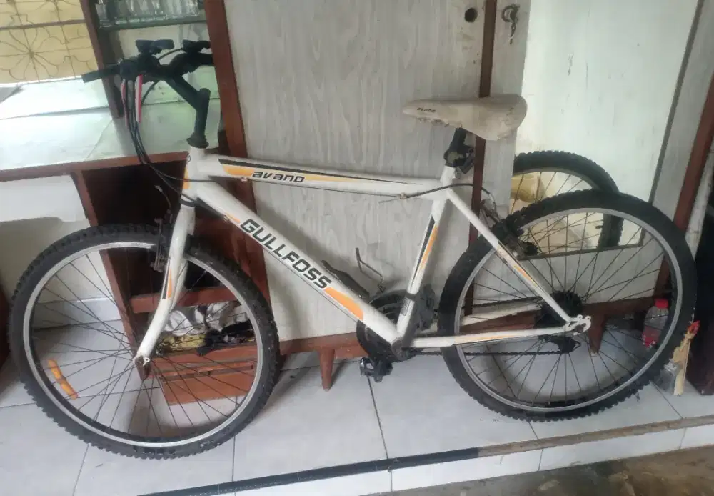 Sepeda Gunung Avand Gullfoss