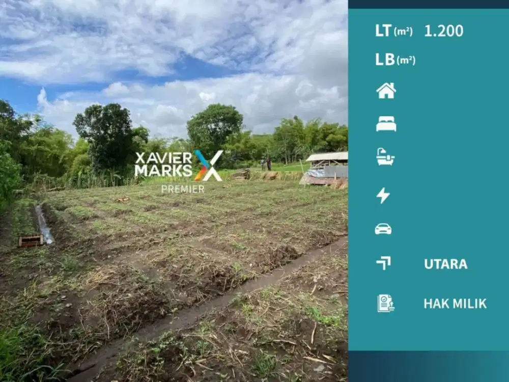 Dijual Tanah Murah Landugsari Cocok untuk Perkebunan Malang