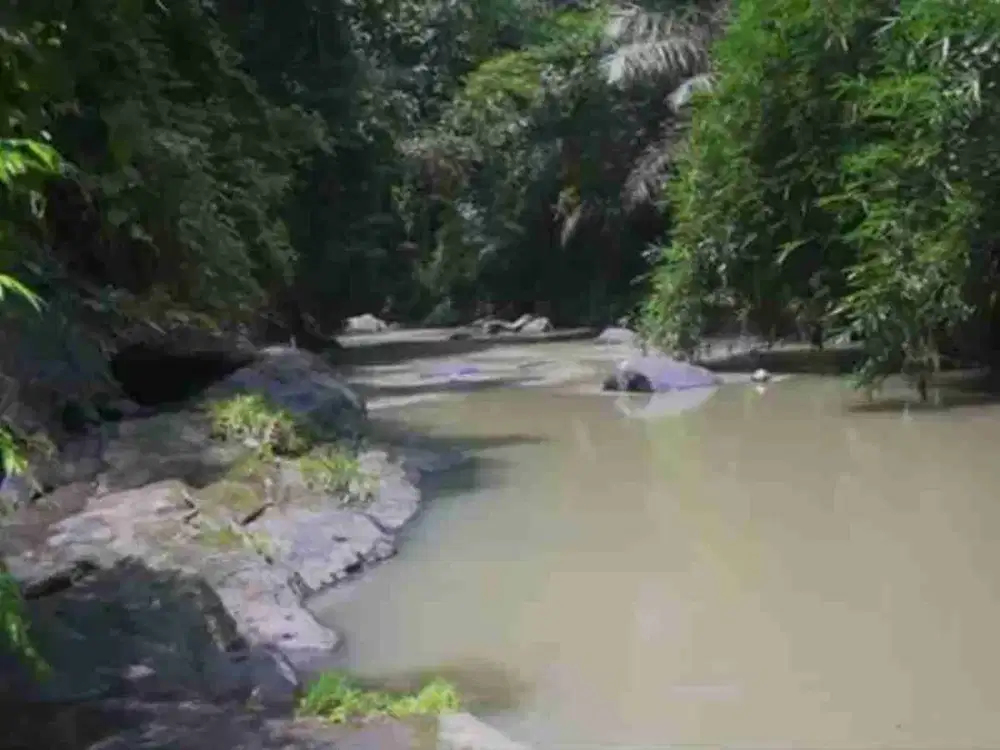 land in river side and jungle near canggu