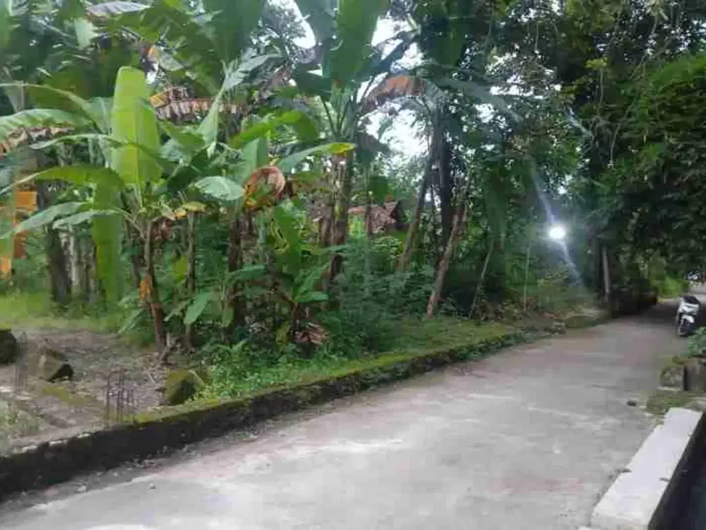 tanah pekarangan dekat rsud prambanan