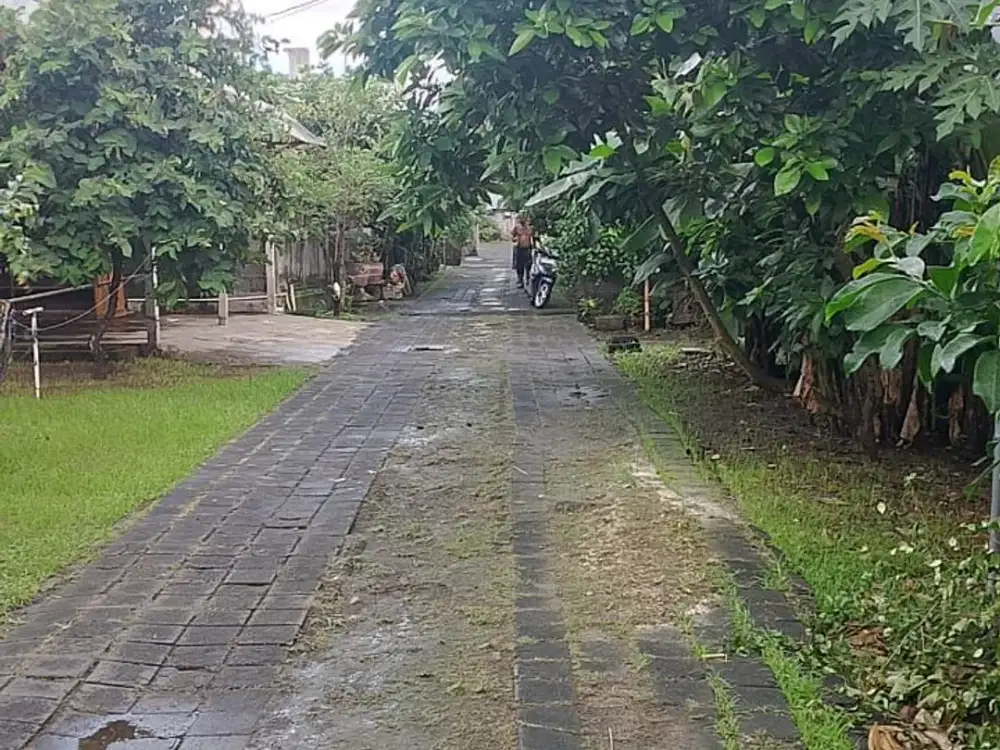 Jual Tanah Bagus Di Jalan Trengguli Denpasar Bali. Gatsu Timur, Living Mall, Siulan, Sekar Tunjung, Kertalangu, Sanur Bali.