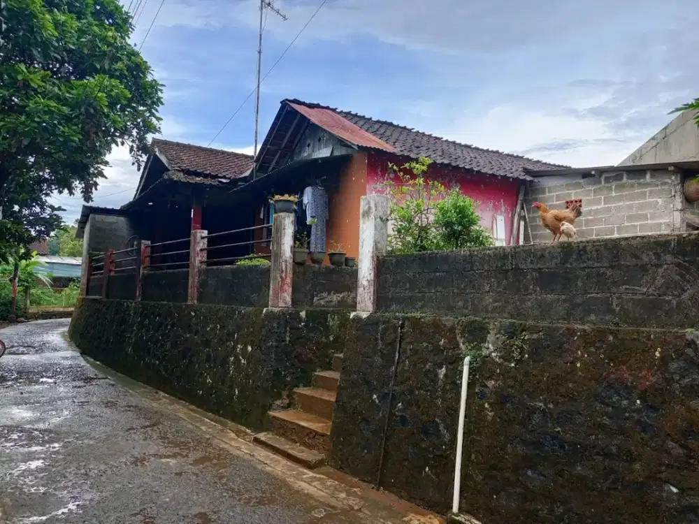 DIJUAL RUMAH NYAMAN & LUAS DI PINGGIR JALAN – SUKOREJO, KENDAL (NSB)