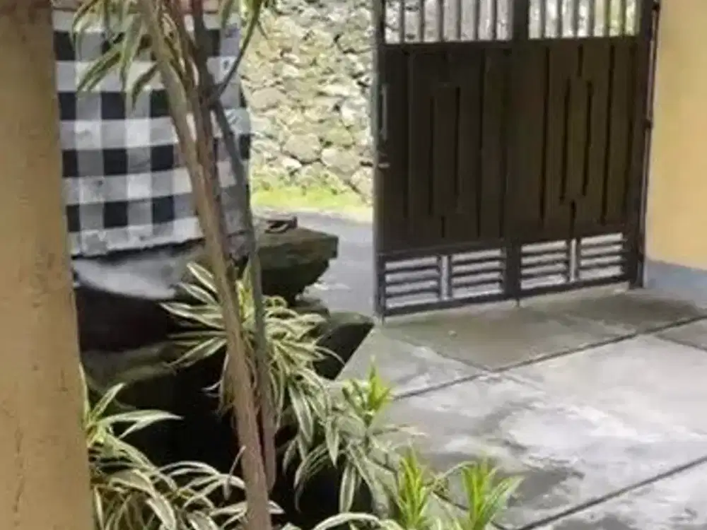 Jual Rumah Lantai 1 Murah  Di Jalan Sekar Sari Sanur Bali. Dekat Ke Pelabuhan Sanur, Pantai Padanggalak