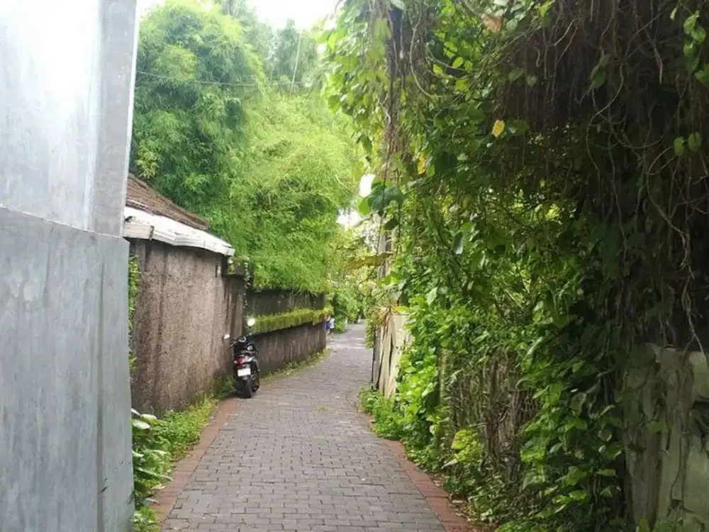 Tanah Strategis Siap Bangun 7 Are Disewakan, di Raya Seminyak Area