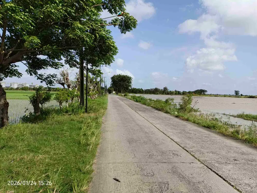 Dijual Lahan Sawah di Cabangbungin Bekasi