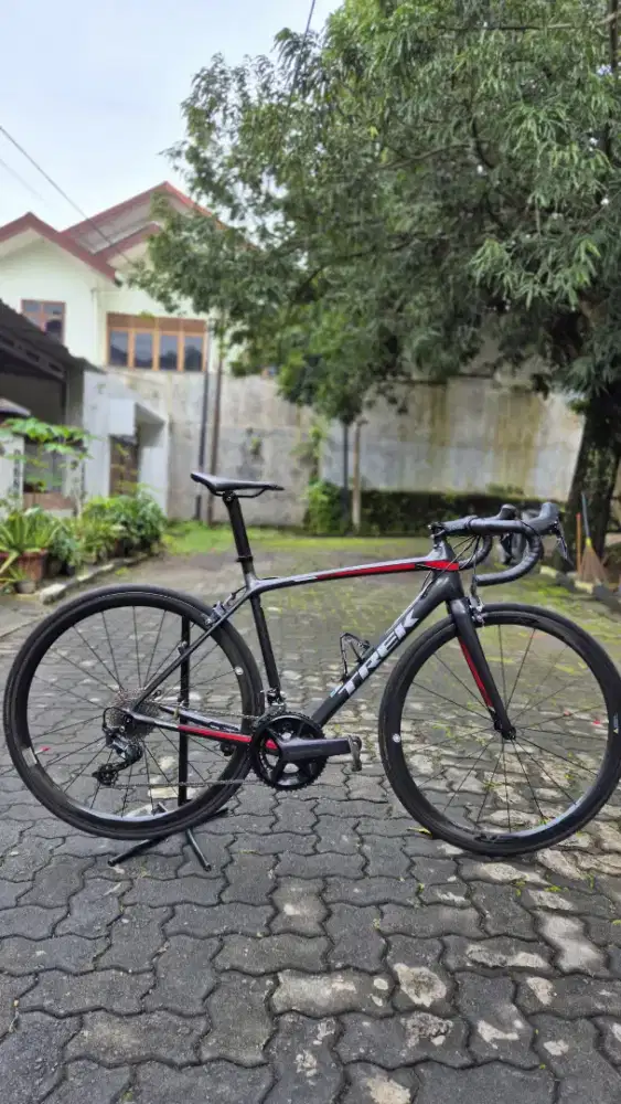 Sepeda Roadbike Carbon TREK size 52